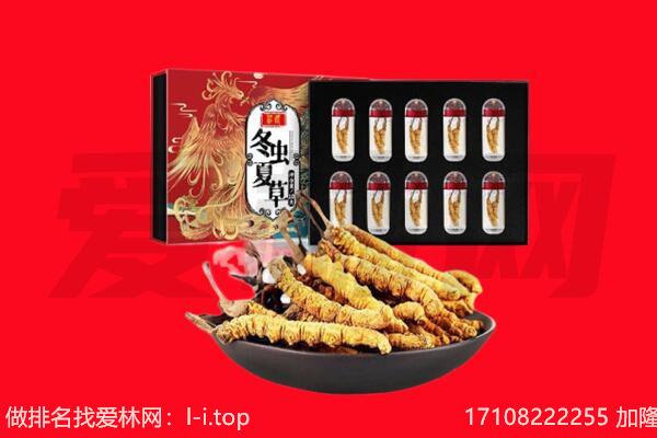 左贡县回收虫草.jpg